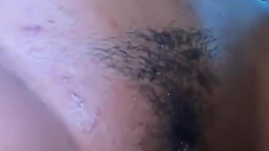 hairy lepona